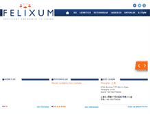 Tablet Screenshot of felixum.com
